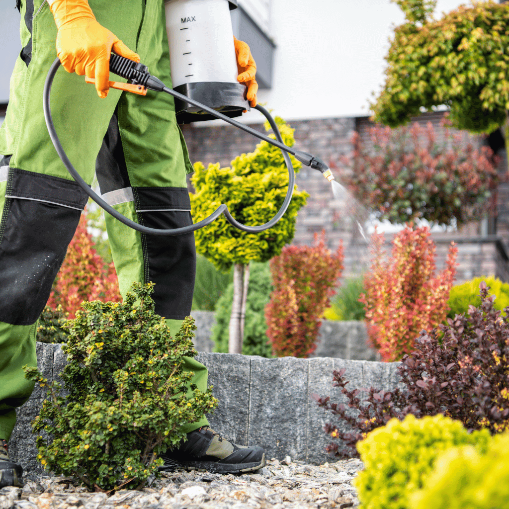 Tratamiento para Plagas en Plantas